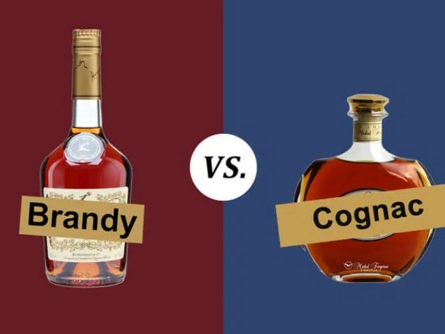 Brandy & Cognac